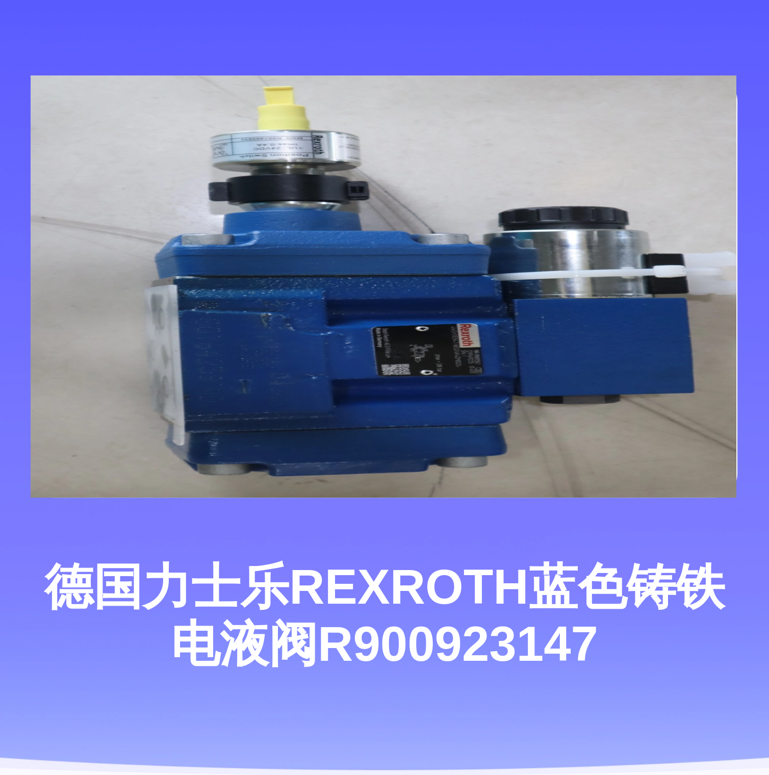 德国力士乐REXROTH蓝色铸铁电液阀R900923147
