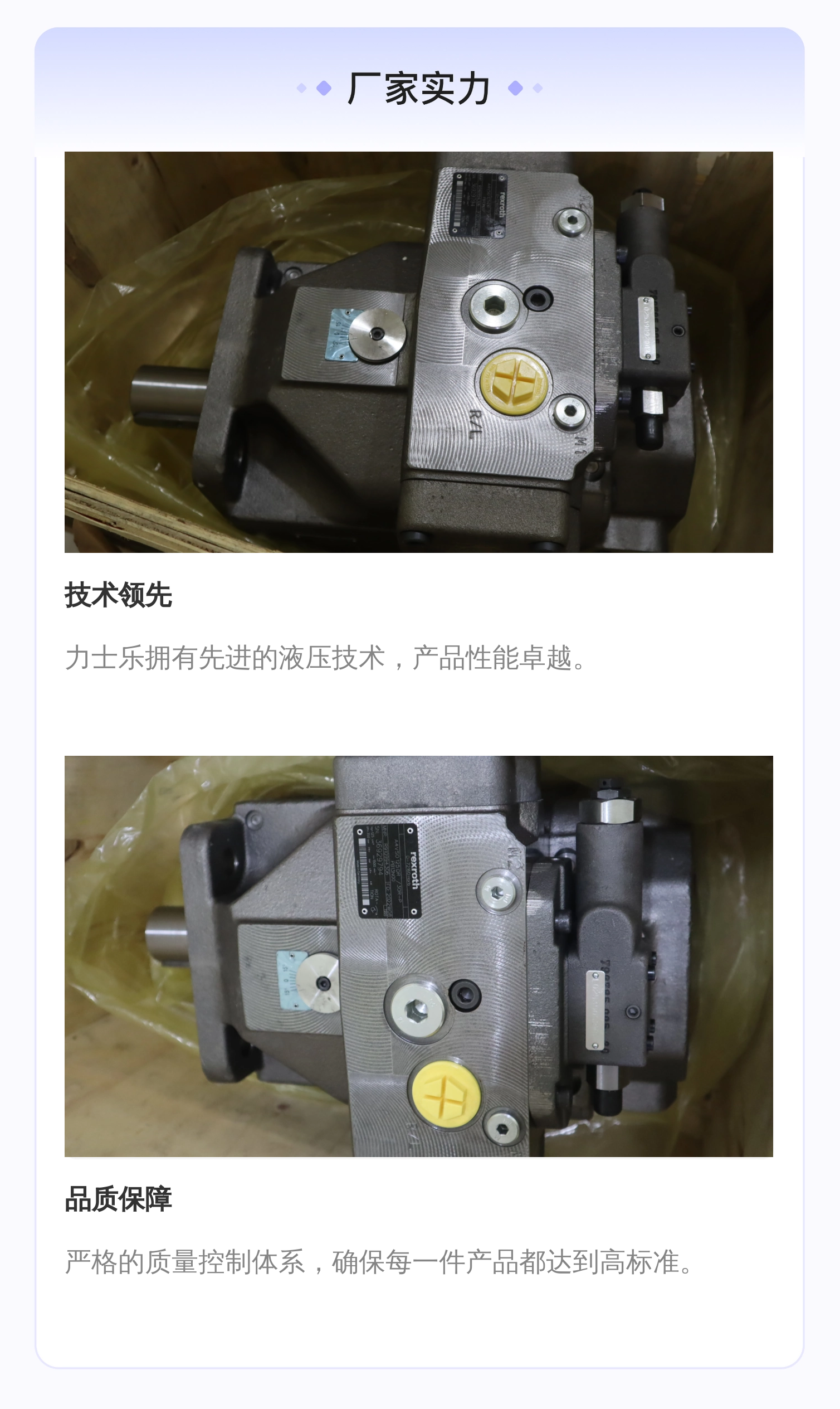 德国力士乐REXROTH柱塞泵A4VSO125DR/30R-PPB13N00 R910994306