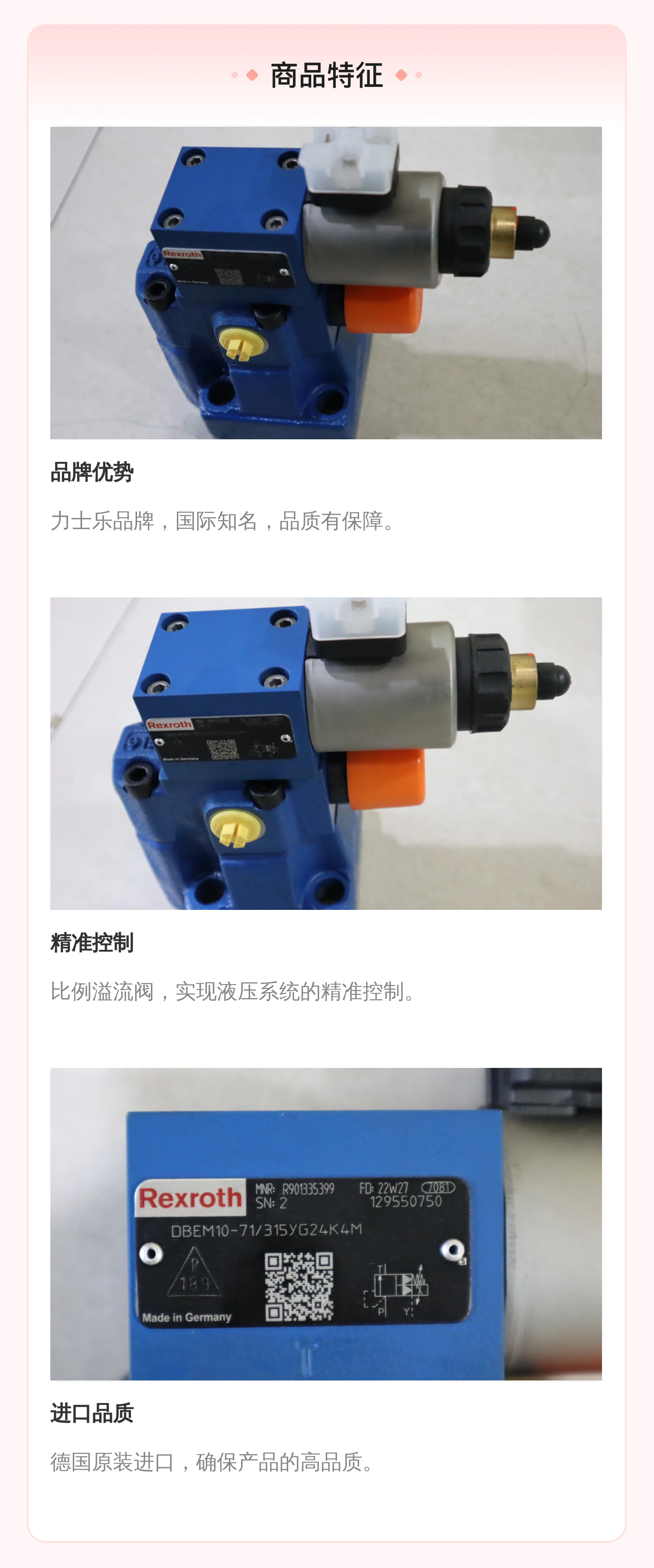 德国力士乐REXROTH比例溢流阀DBEM10-7X/315YG24K4M R901335399