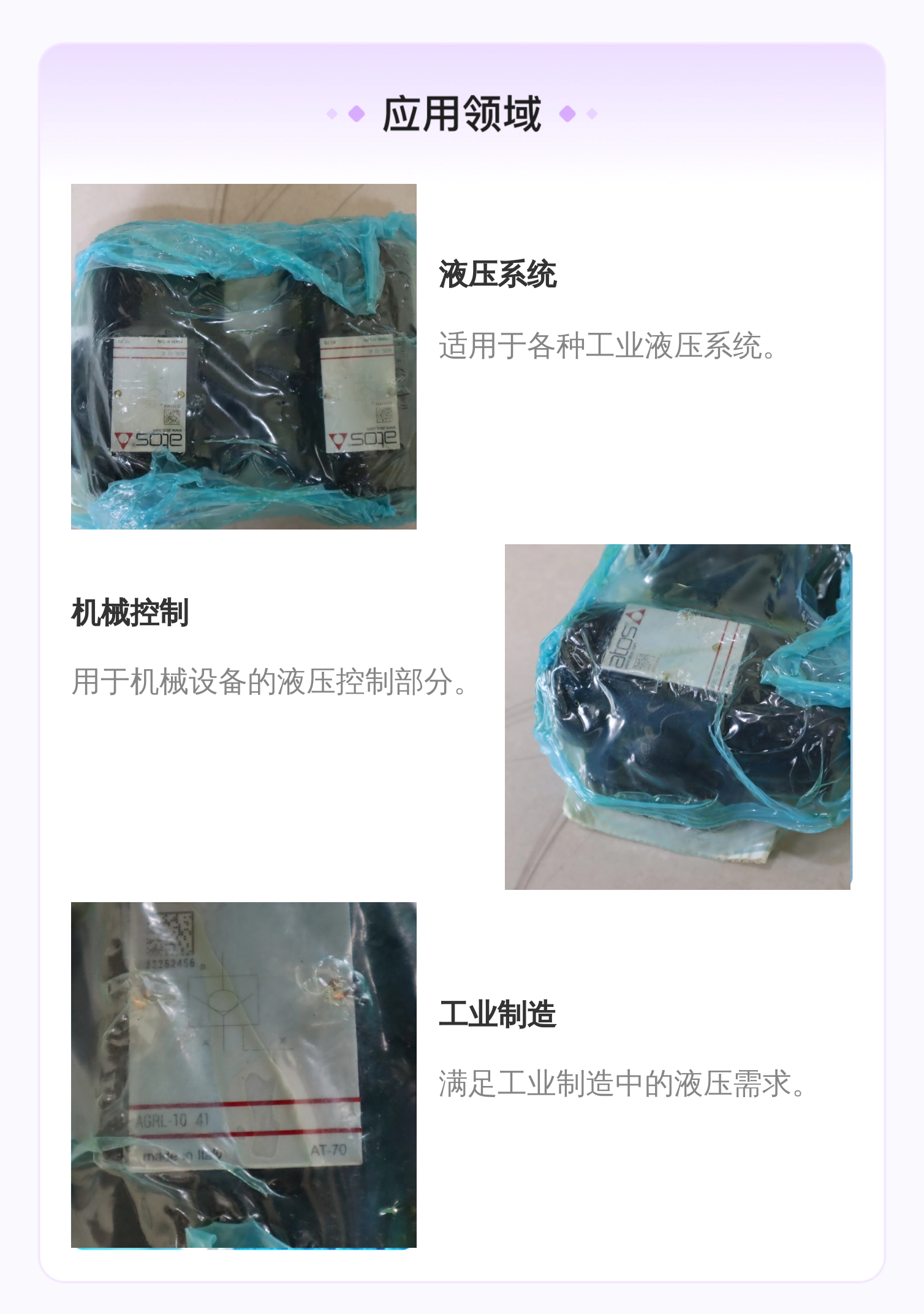 意大利阿托斯ATOS AGRL-20 41 铸铁单向阀 11个装