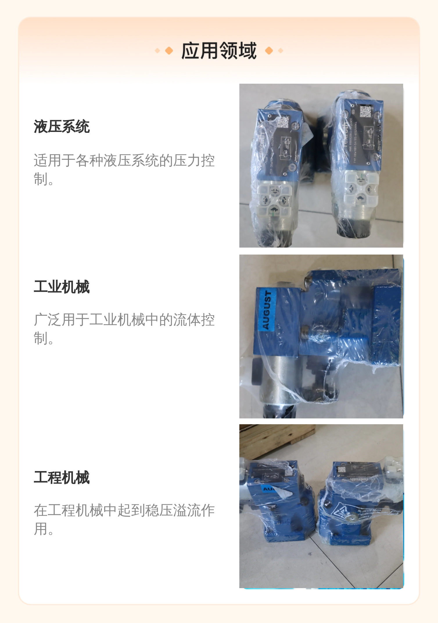 DBW10B1-5X/315-6EG24N9K4 R900920863 德国力士乐REXROTH溢流阀