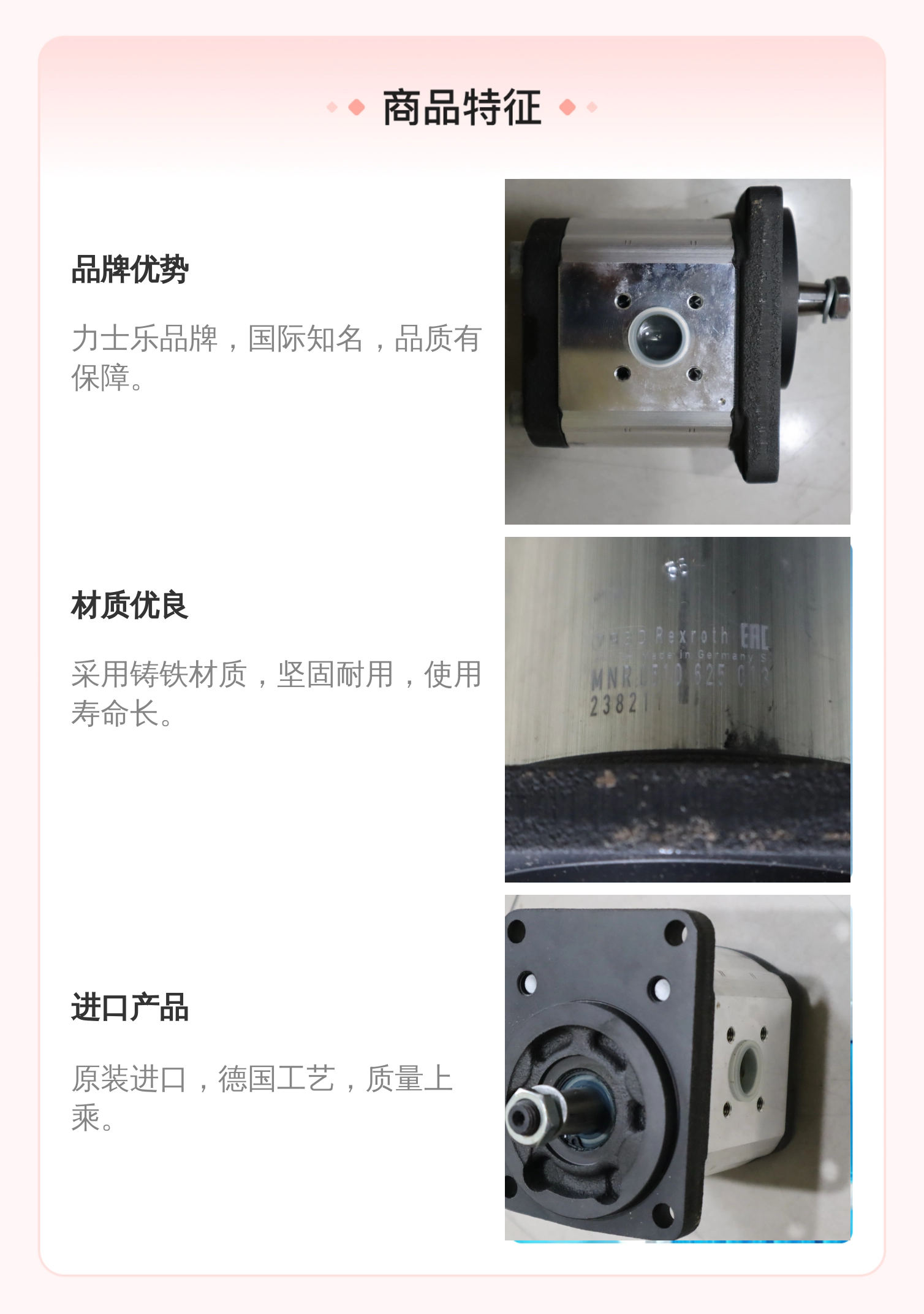 力士乐REXROTH蓝色铸铁齿轮泵0510625013型号