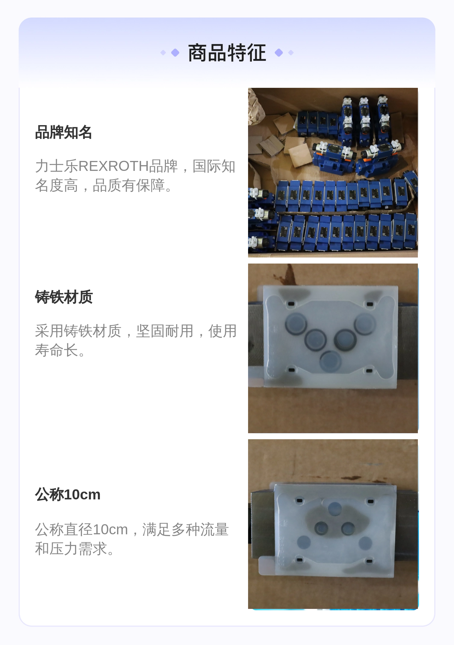 力士乐REXROTH Z2S10单向阀 公称10cm 铸铁材质溢流阀