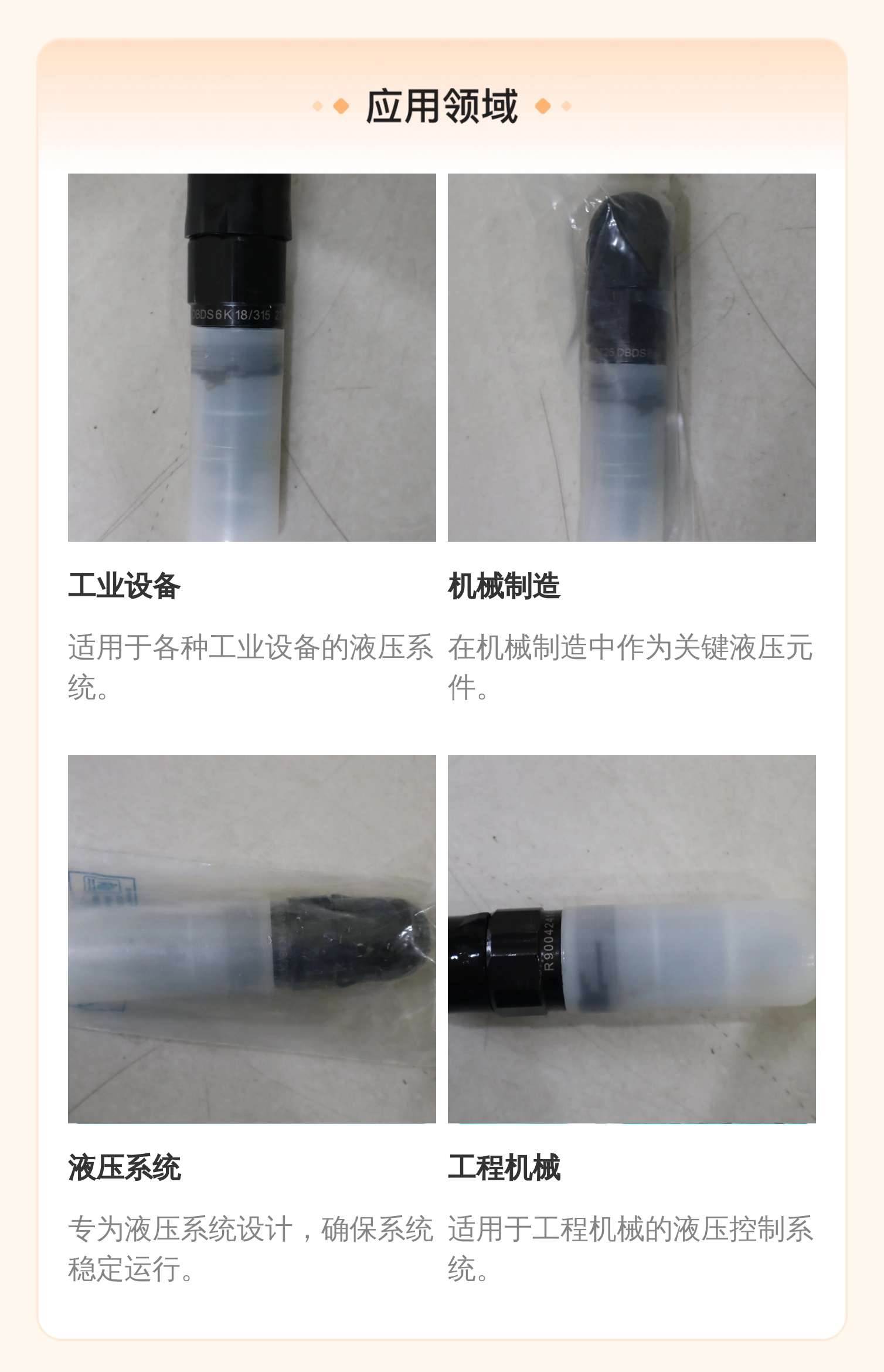 力士乐REXROTH R900423724插装溢流阀 德国进口蓝色铸铁液压阀