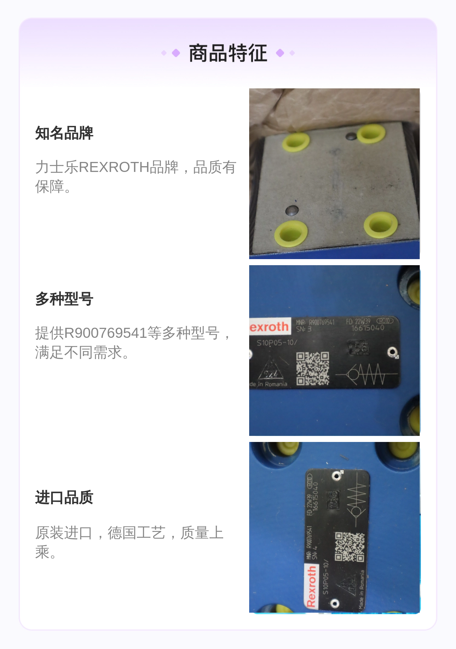力士乐REXROTH单向阀 R900769541 多型号液压系统阀门配件
