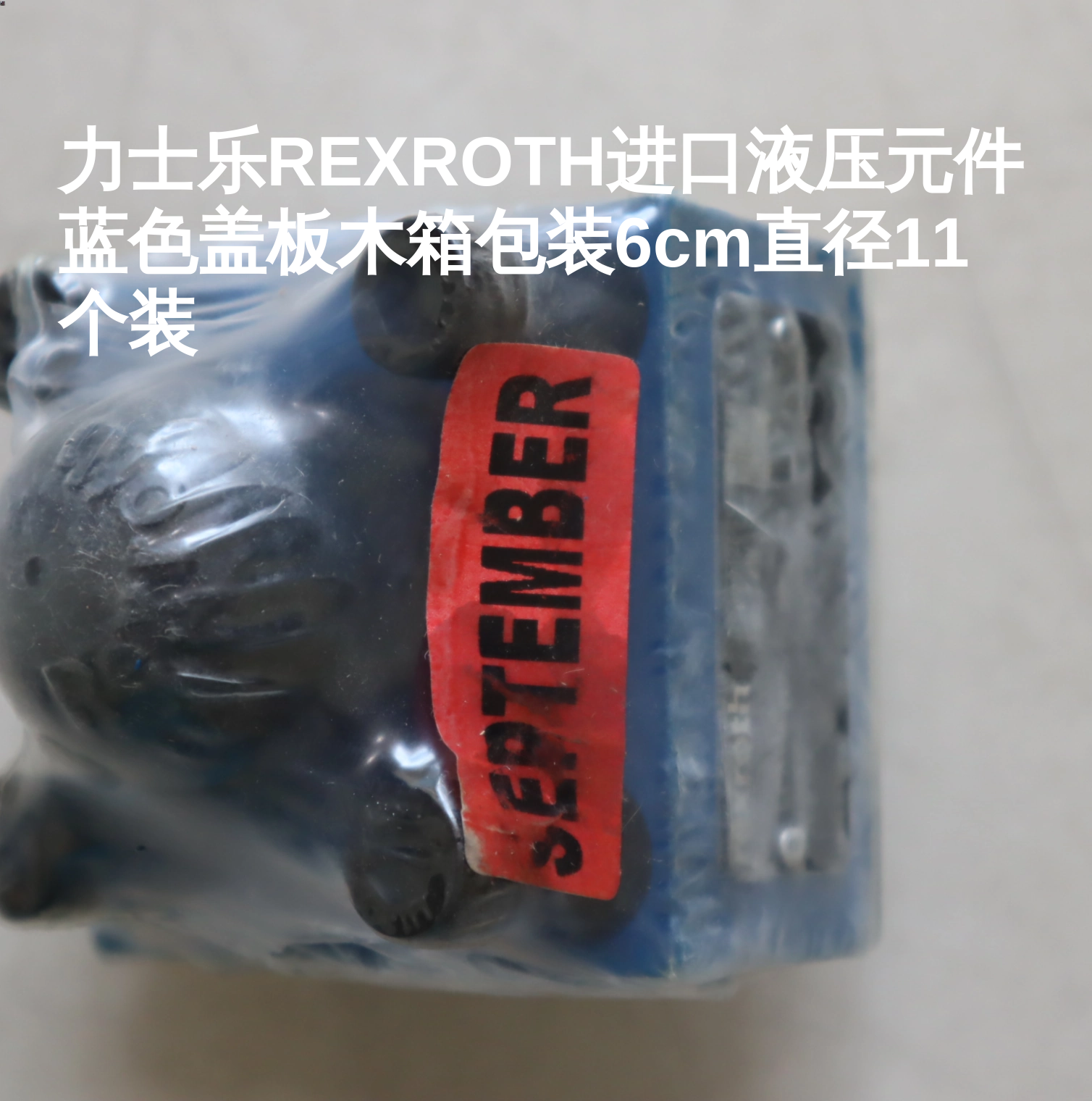 力士乐REXROTH进口液压元件蓝色盖板木箱包装6cm直径11个装