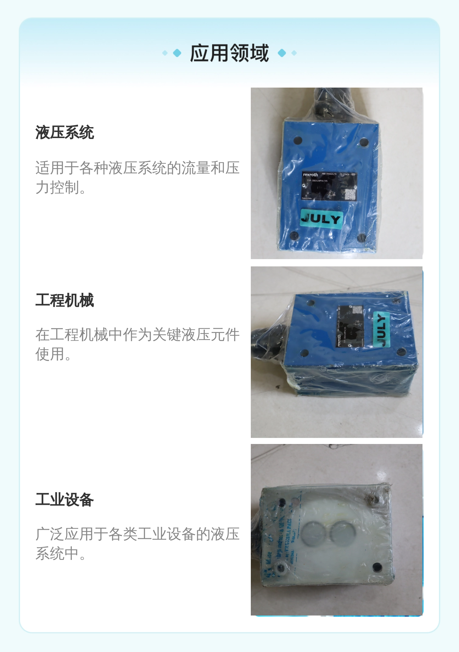力士乐REXROTH蓝色铸铁溢流阀 R900424278 DBDS20P1A/315 德国产