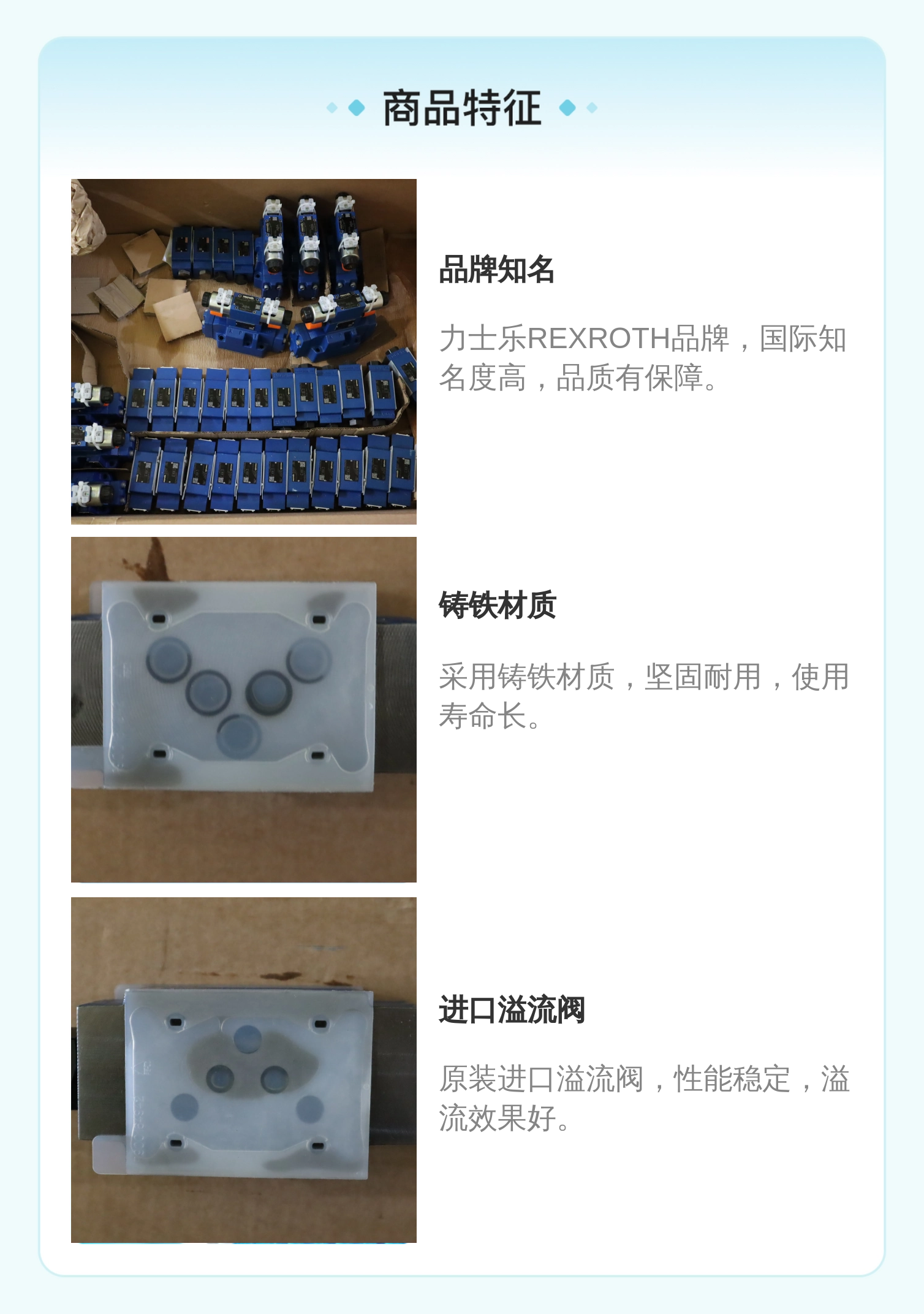 力士乐REXROTH Z2S10单向阀 公称10cm 铸铁材质 进口溢流阀