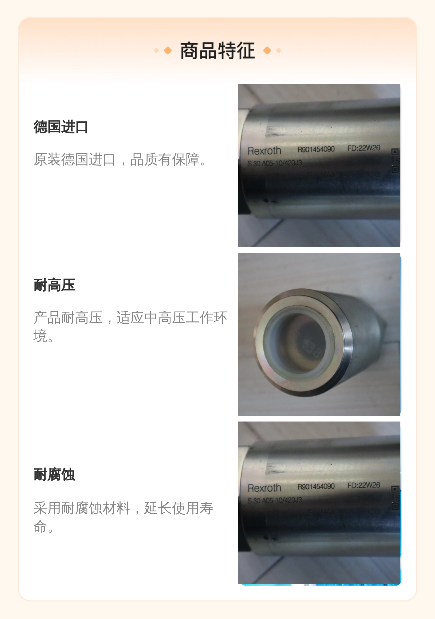 德国力士乐REXROTH单向阀 R901454090 S30A05系列 6cm直径