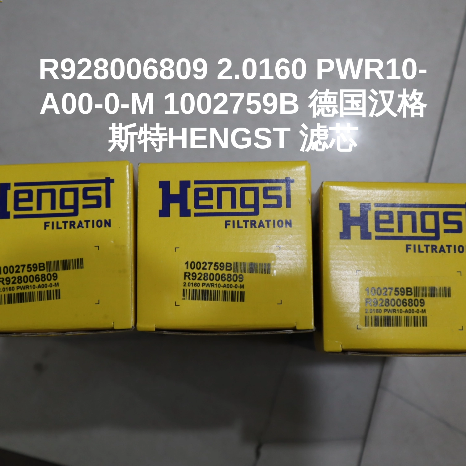 R928006809 2.0160 PWR10-A00-0-M 1002759B 德国汉格斯特HENGST 滤芯