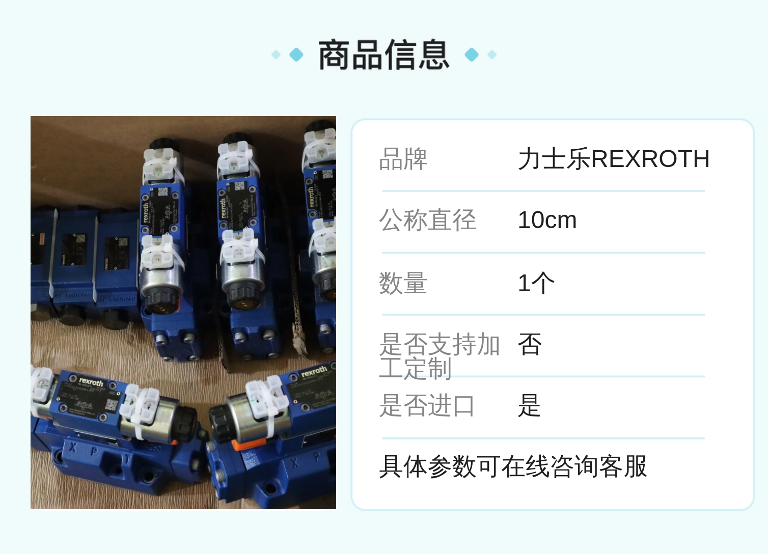 力士乐REXROTH Z2S10单向阀 公称10cm 铸铁材质 进口溢流阀