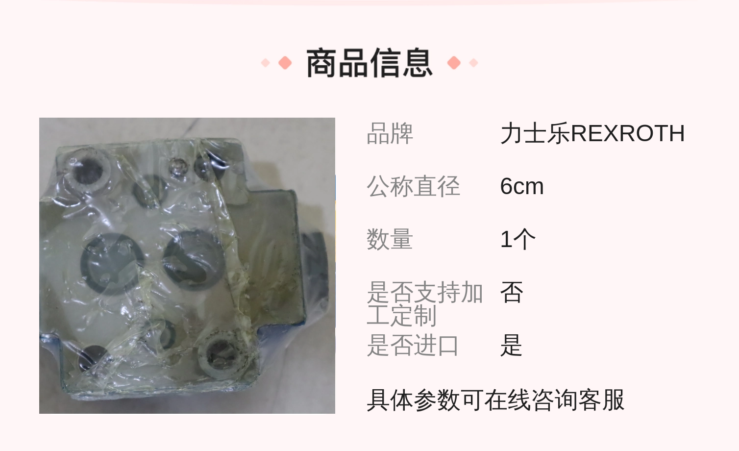 力士乐REXROTH SL20PA1单向阀 公称6cm 铸铁材质 进口溢流阀