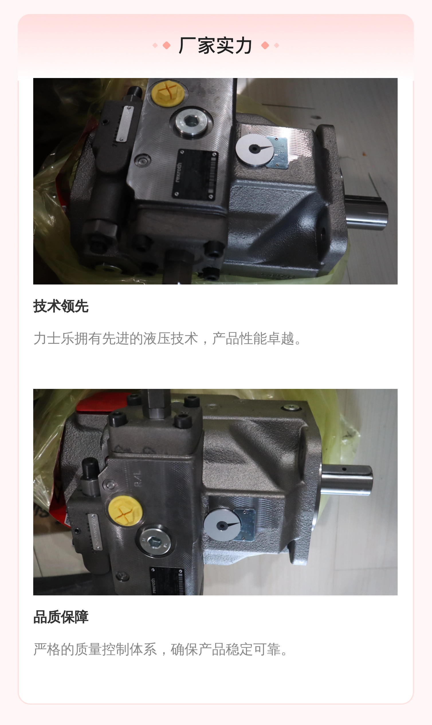 A4VSO71DR/30R-PPB13N00 R902423294 德国力士乐REXROTH柱塞泵