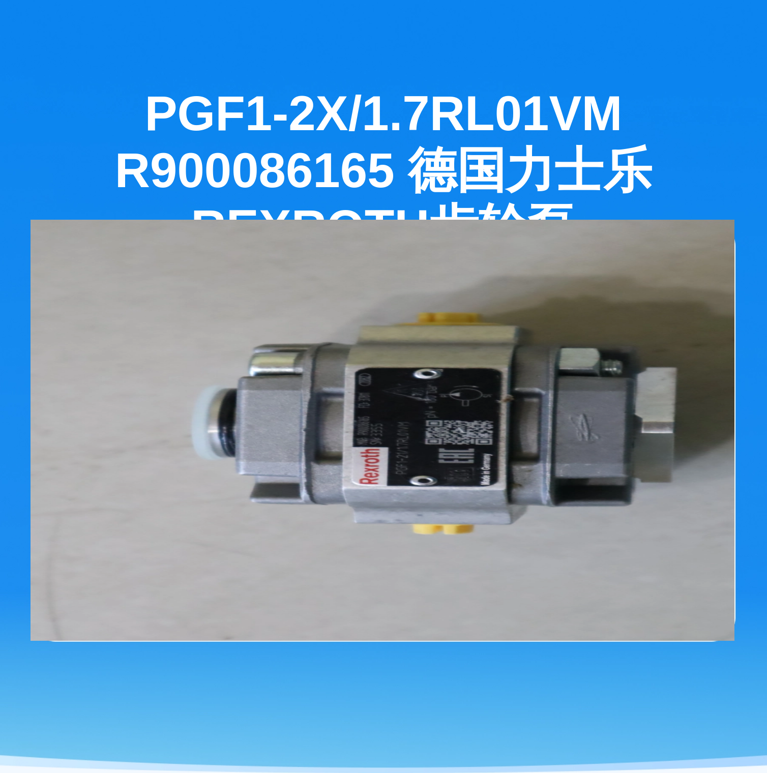 PGF1-2X/1.7RL01VM R900086165 德国力士乐REXROTH齿轮泵