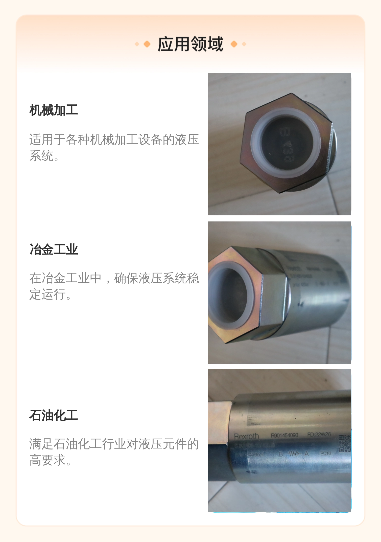 德国力士乐REXROTH单向阀 R901454090 S30A05系列 6cm直径