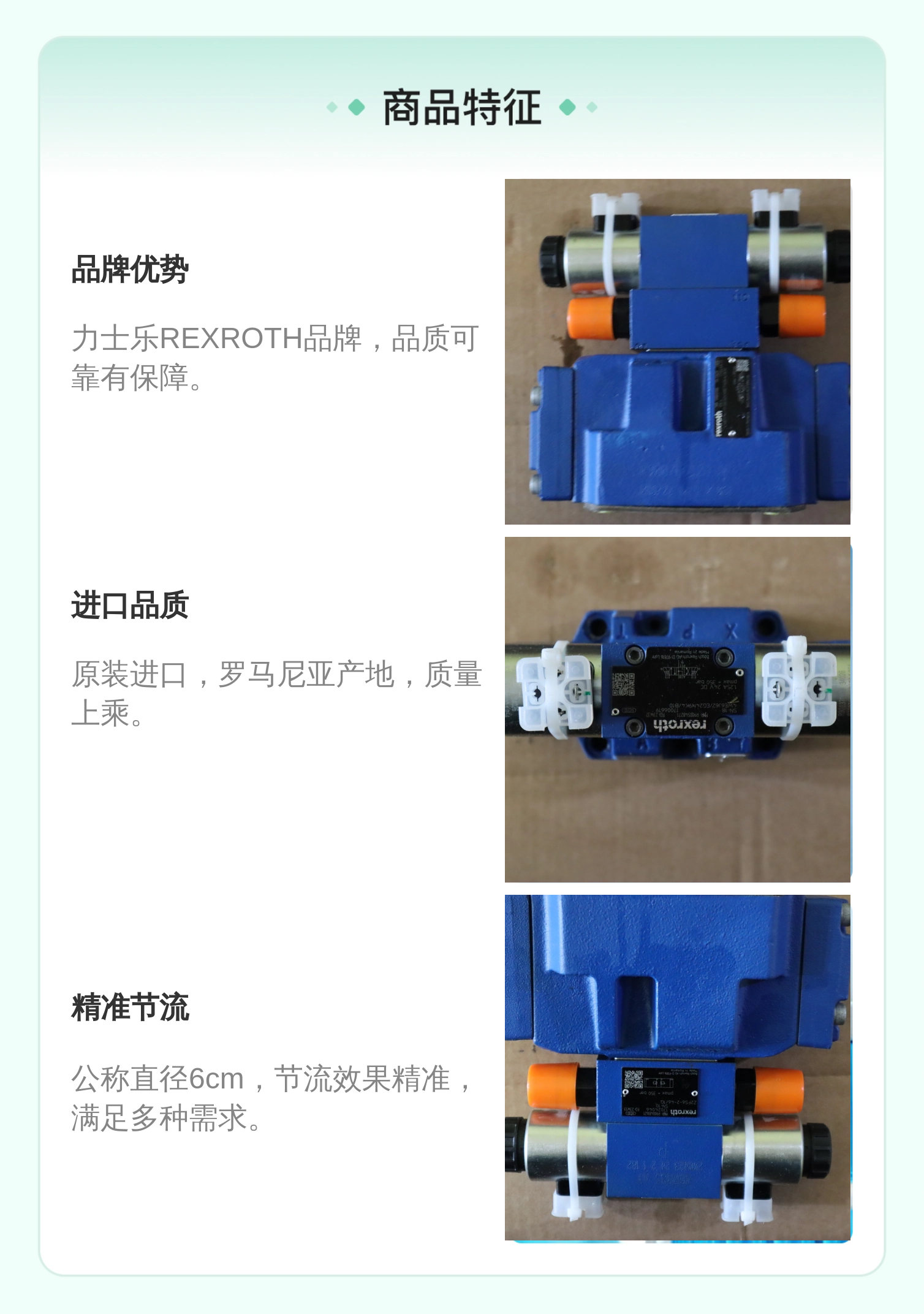 Z2FS6-2-44/1Q Z2FS6-2-4X/1Q R900481621 德国力士乐REXROTH节流阀