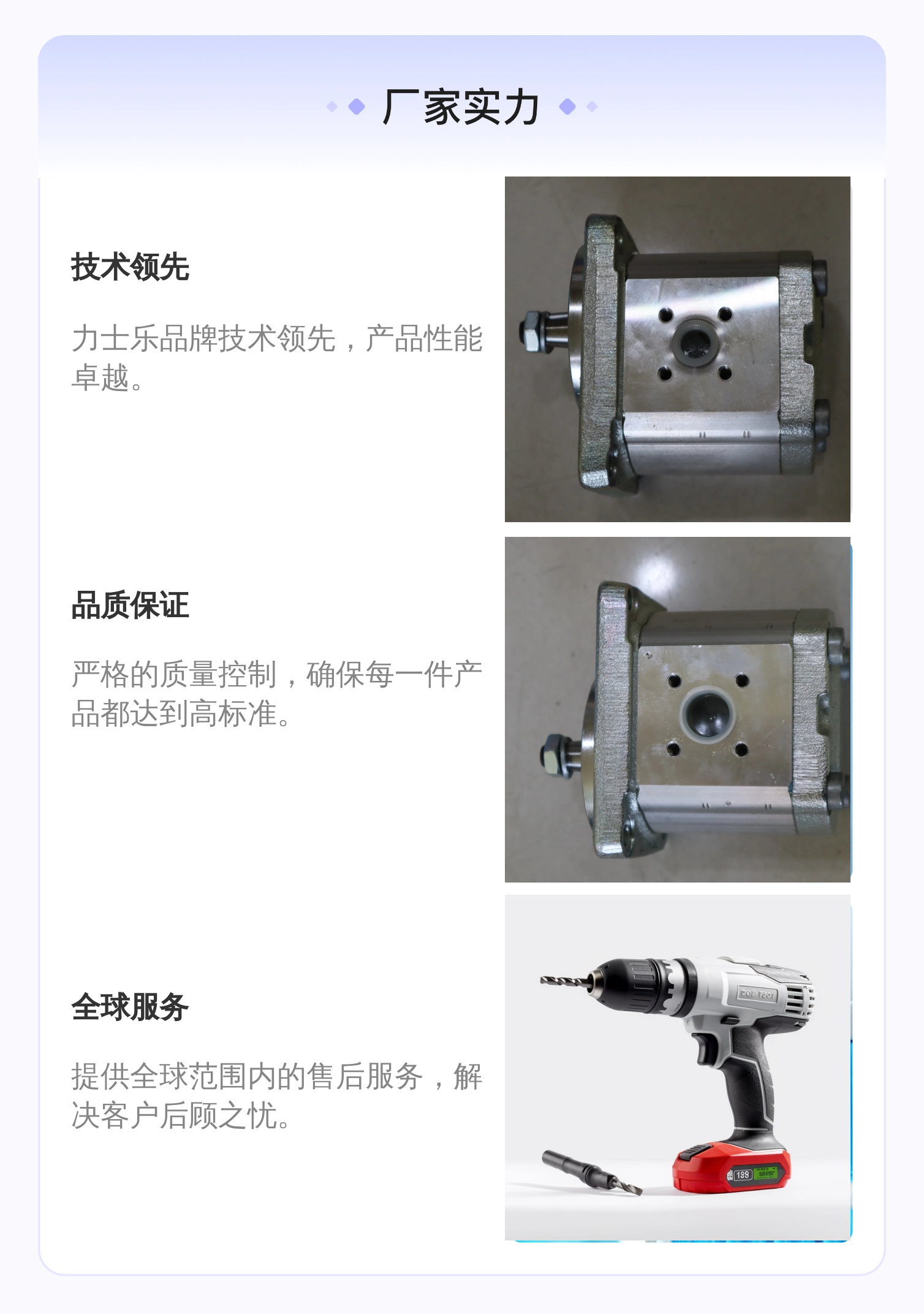 力士乐品牌蓝色铸铁材质齿轮泵 进口液压系统元件 木箱包装