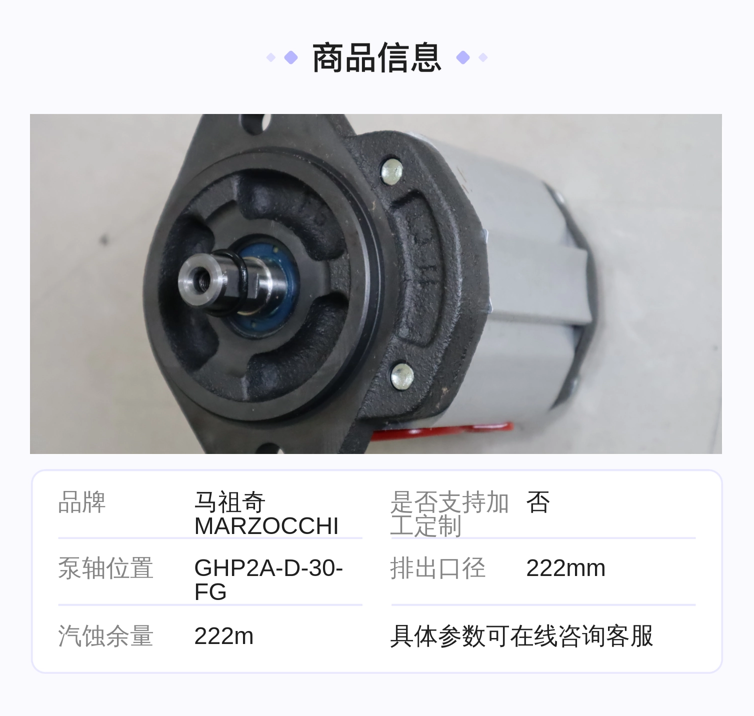 GHP2A-D-30-FG 意大利马祖奇MARZOCCHI 齿轮泵