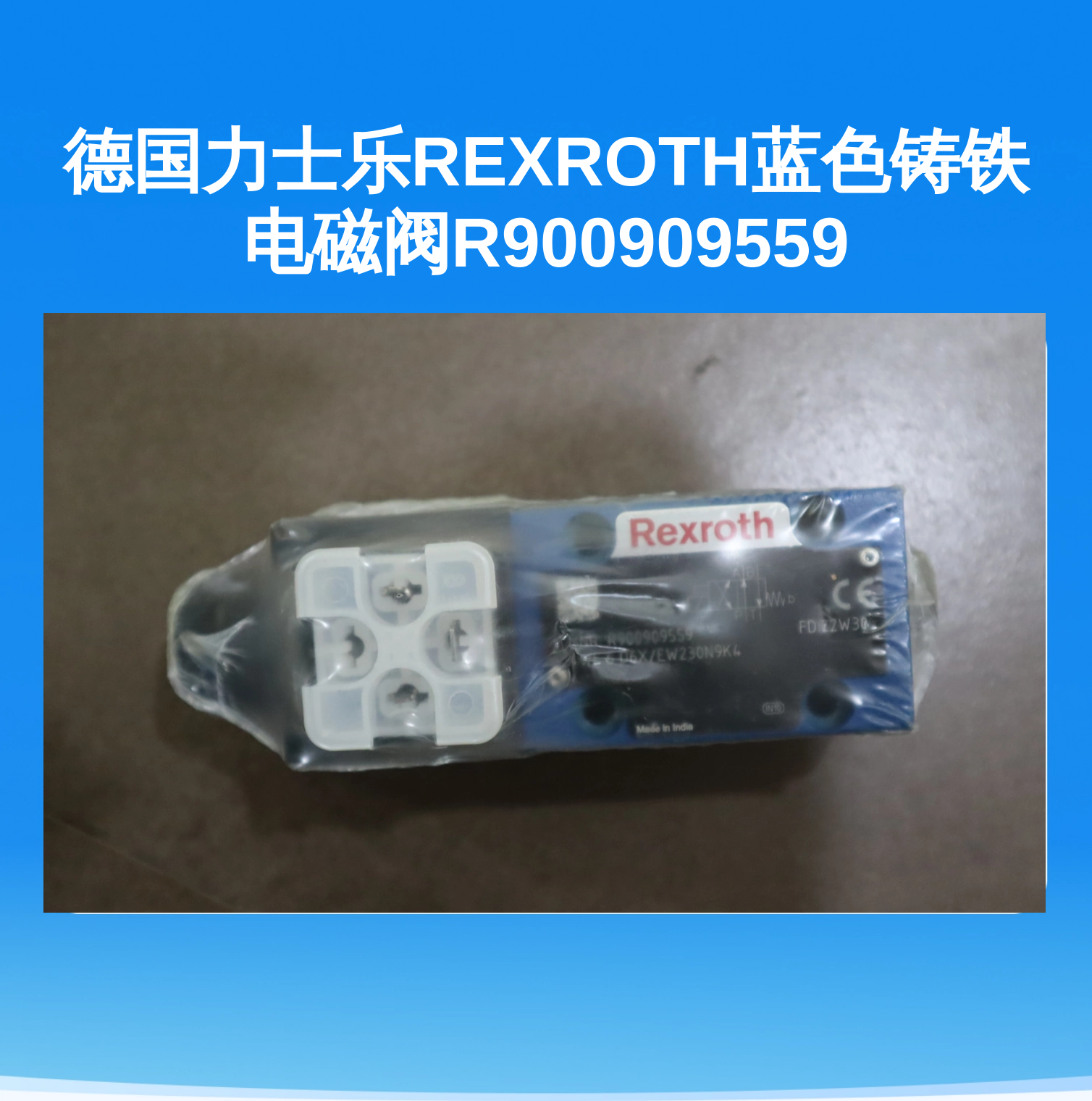 德国力士乐REXROTH蓝色铸铁电磁阀R900909559