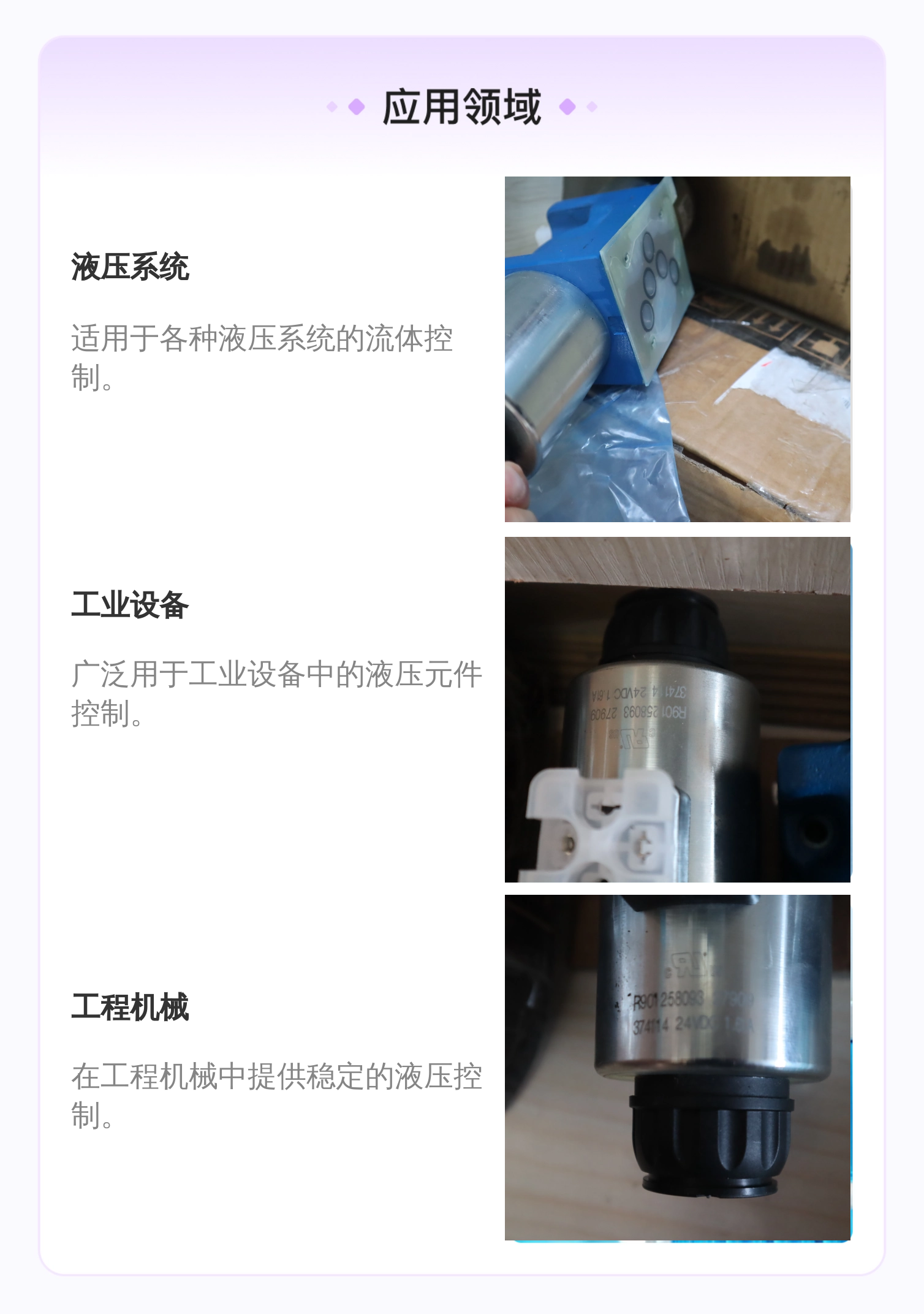 力士乐REXROTH蓝色铸铁电磁阀 R901391198型号