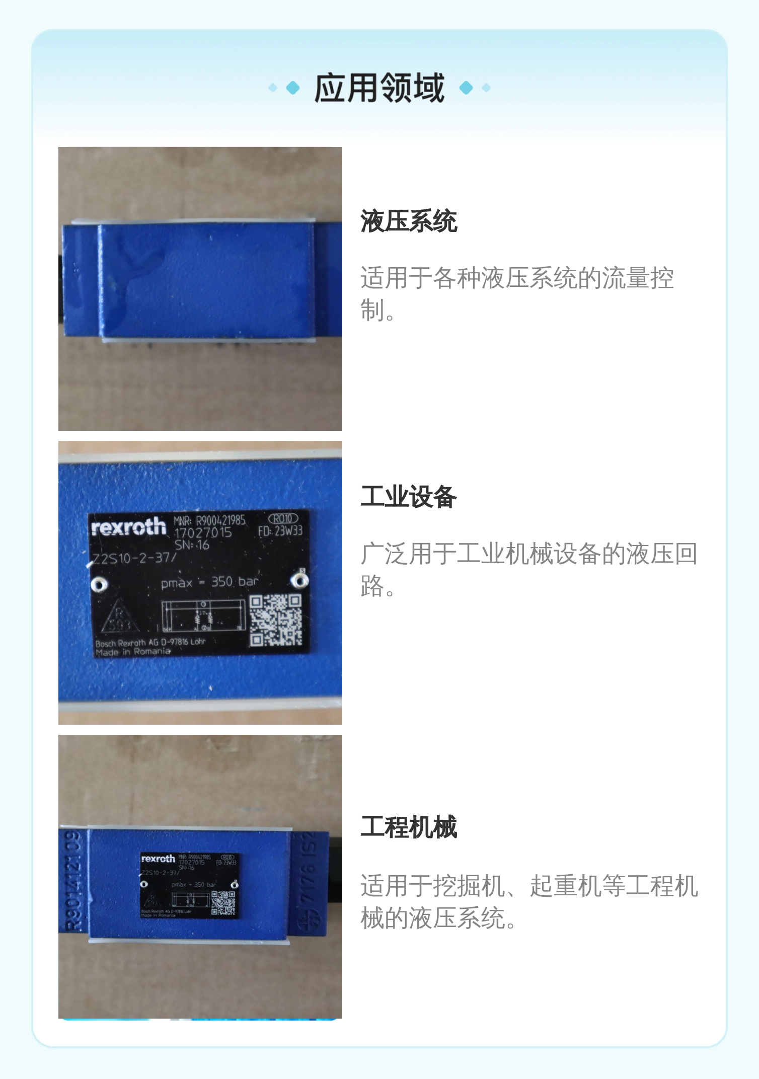 力士乐REXROTH Z2S10单向阀 公称10cm 铸铁材质 进口溢流阀